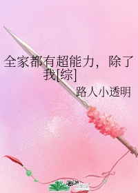 系统改造YIN女H