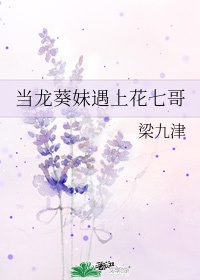 龙之谷机械大师刷图加点