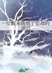 中国speakingathome破解版