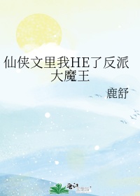 驾照情缘全文免费