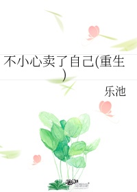 小鸡宝盒官网