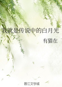 《韵母风情》章节目录