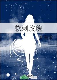 堕落女律师