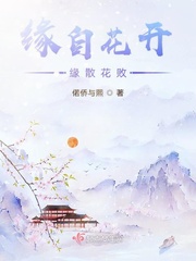 公交h文