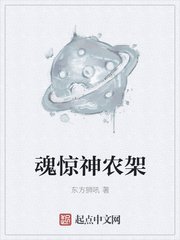 暗黑系列暖婚txt全文