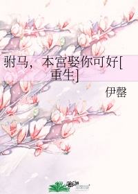 全职法师心夏第一次