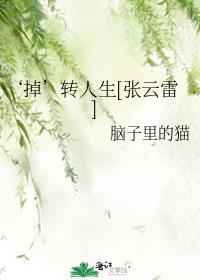 变形金刚5免费观看完整版