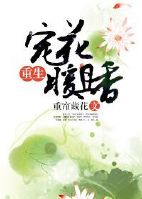 那时花开月正圆在线看