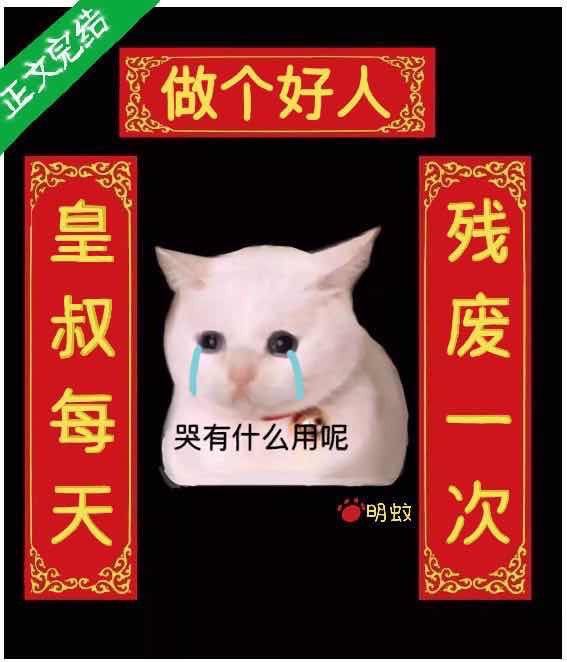 傲世九重天txt下载免