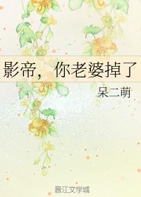 全职法师同人小说