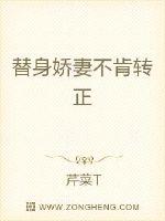 雷电将军被淦到流白水的视频