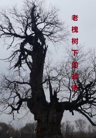 无声电影免费完整版在线观看