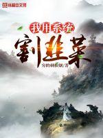 秦雨罗明老旺完整版