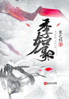 仔仔网手机版