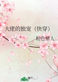 《风花雪月》完整版在线播放