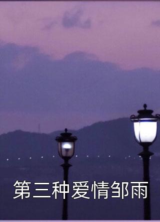 月颜之夜