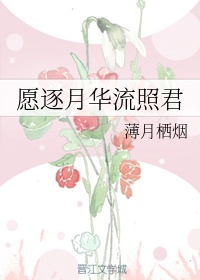 百变布鲁可动画片全集