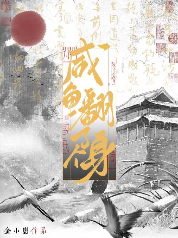 果冻传媒2024精品入口免费版