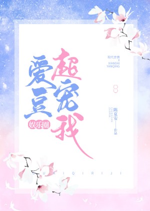 糖心淑女 典心 小说