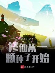 爱情公寓小说