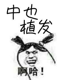 火豆电影网hddyy