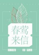 女系家族3动漫