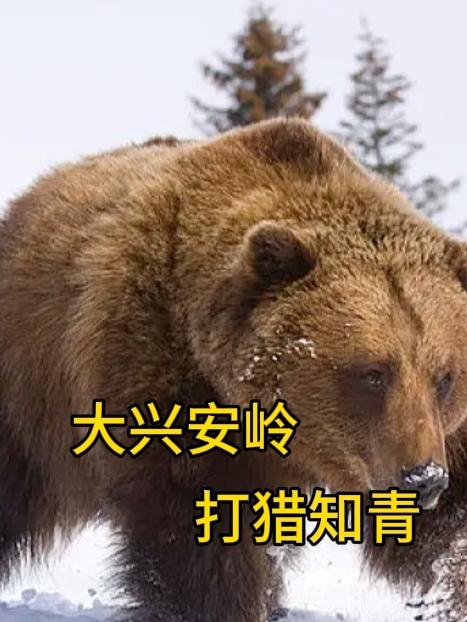 性事咨询员hd中字