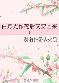 黛妃写的小说