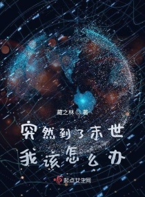 华文在线小说手机版