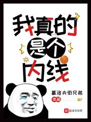 2034盒子动漫视频系列