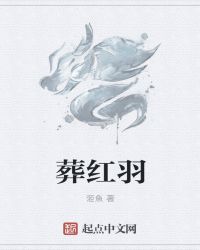 少年阿宾txt离线阅读全文