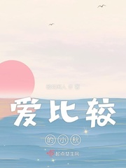 海贼王之魅力无限