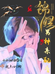 9877飞翼鸟漫画大全