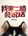 波多野结衣torrent