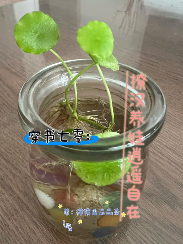 赌侠之人定胜天