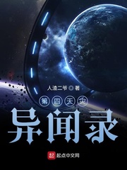 胜算2024电视剧完整版