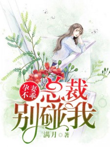 黑道公子小说全集