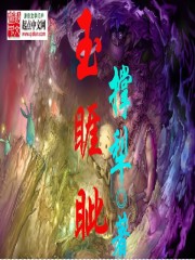 使命召唤8 错误