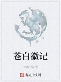 聚乙烯丙纶复合防水卷材