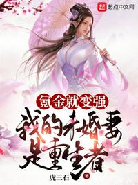 大制药师系统