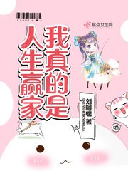 传奇西游终极无敌版