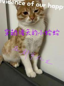 息与子猛烈交尾在线播放