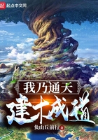 那年花开月正圆芒果tv