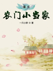 红楼之将军