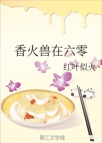 钢之炼金术师第一季