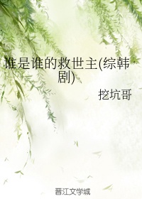 陈红法蓉大战张敏小说