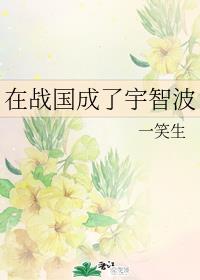 银砂糖师与黑妖精