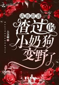 斗罗大陆2漫画免费阅读全文