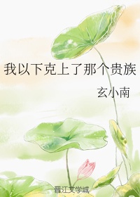 透视小霸王