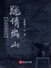 血战万家岭23集